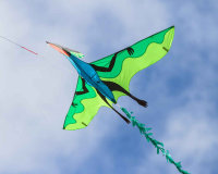 HQ 3D Kite Flying Dinosaur
