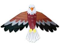 Bald Eagle / Adler