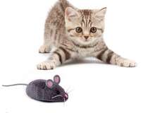 HEXBUG Mouse Cat Toy GREY
