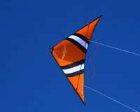 Speedwing X1 Orange