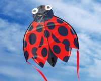 SkyBugz Kite Ladybug